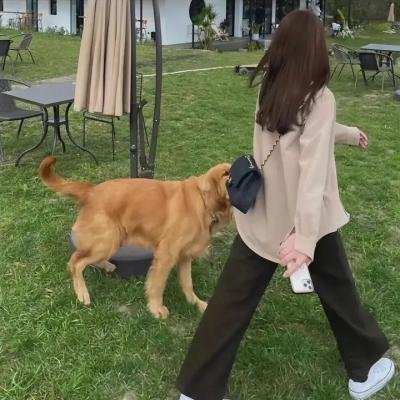 玻璃下巴