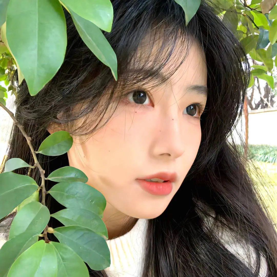 九玄冥月