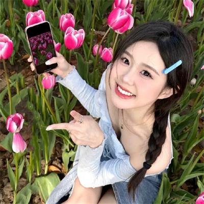 乘风破浪的姐姐短剧